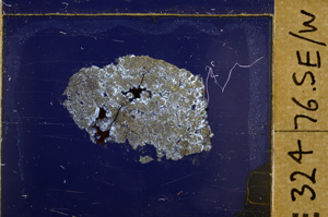 Cross Polarized, E32224