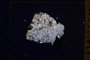 Cross Polarized, E32225