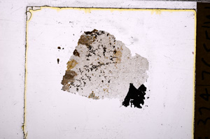 Plane Polarized, E32225