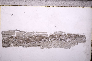 Plane Polarized, E32227