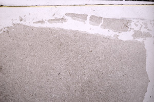 Plane Polarized, E32247