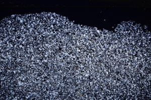 Cross Polarized, E32255