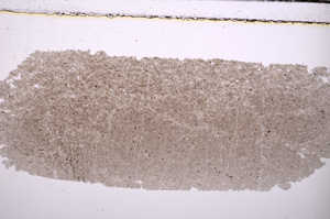 Plane Polarized, E32306