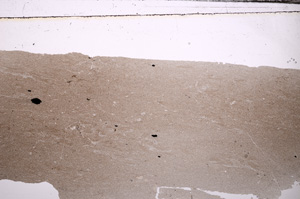 Plane Polarized, E32320