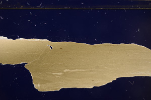 Cross Polarized, E32343