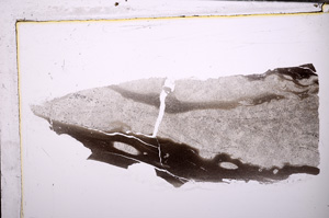 Plane Polarized, E32348