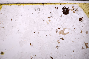 Plane Polarized, E32361