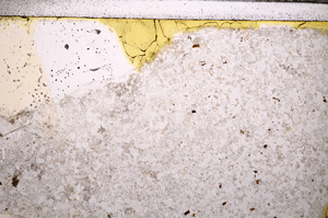 Plane Polarized, E32368