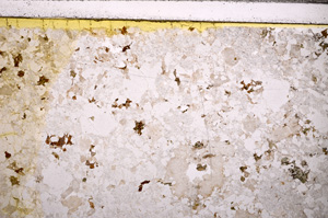 Plane Polarized, E32369