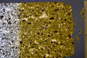 Cross Polarized, E32388