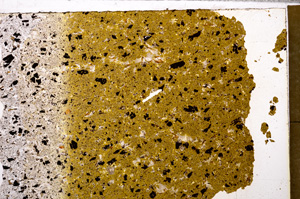 Plane Polarized, E32388