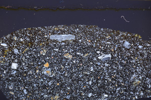 Cross Polarized, E32441