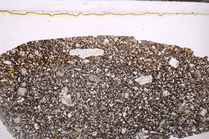 Plane Polarized, E32441