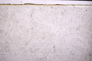 Plane Polarized, E32517