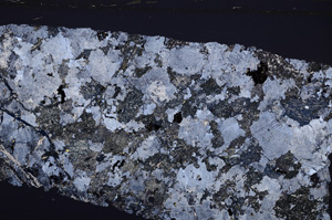 Cross Polarized, E32530