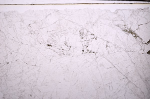 Plane Polarized, E32544