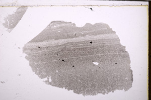 Plane Polarized, E32552