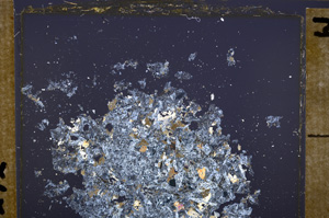 Cross Polarized, E32567