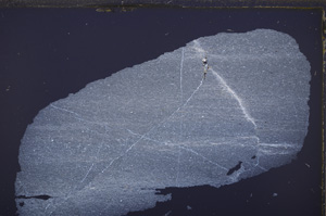 Cross Polarized, E32568