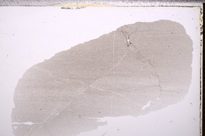 Plane Polarized, E32568