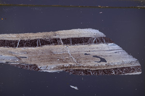 Cross Polarized, E32569