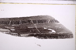 Plane Polarized, E32569