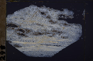 Cross Polarized, E32570