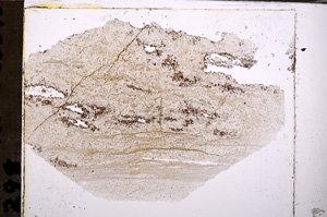 Plane Polarized, E32570