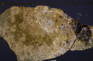 Cross Polarized, E32573