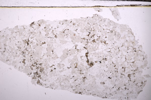 Plane Polarized, E32574