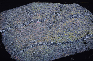 Cross Polarized, E32577