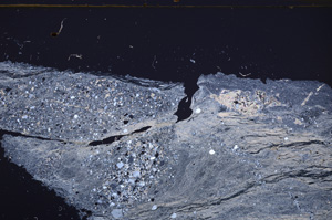 Cross Polarized, E32582