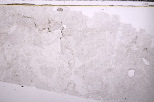 Plane Polarized, E32584