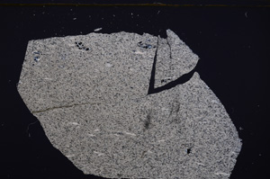 Cross Polarized, E32585