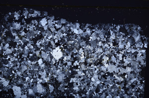 Cross Polarized, E32589