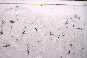 Plane Polarized, E32589