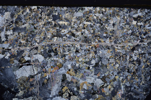 Cross Polarized, E32595