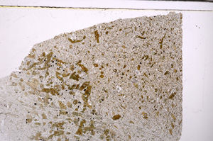 Plane Polarized, E32596