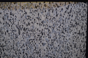 Cross Polarized, E32599