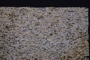 Cross Polarized, E32600