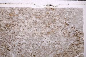 Plane Polarized, E32600
