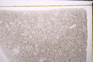 Plane Polarized, E32617