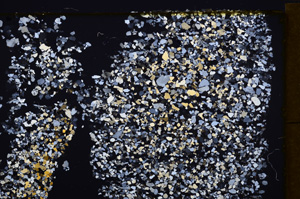 Cross Polarized, E32620