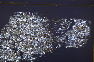 Cross Polarized, E32638