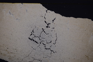 Cross Polarized, E32668