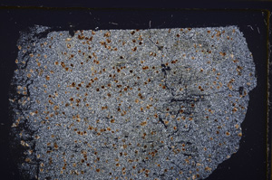 Cross Polarized, E32797