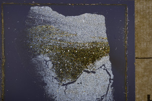 Cross Polarized, E32799