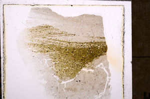 Plane Polarized, E32799