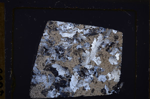 Cross Polarized, E32800