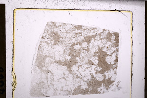 Plane Polarized, E32800